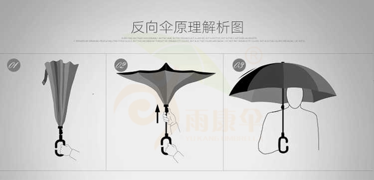 新澳网官方网站